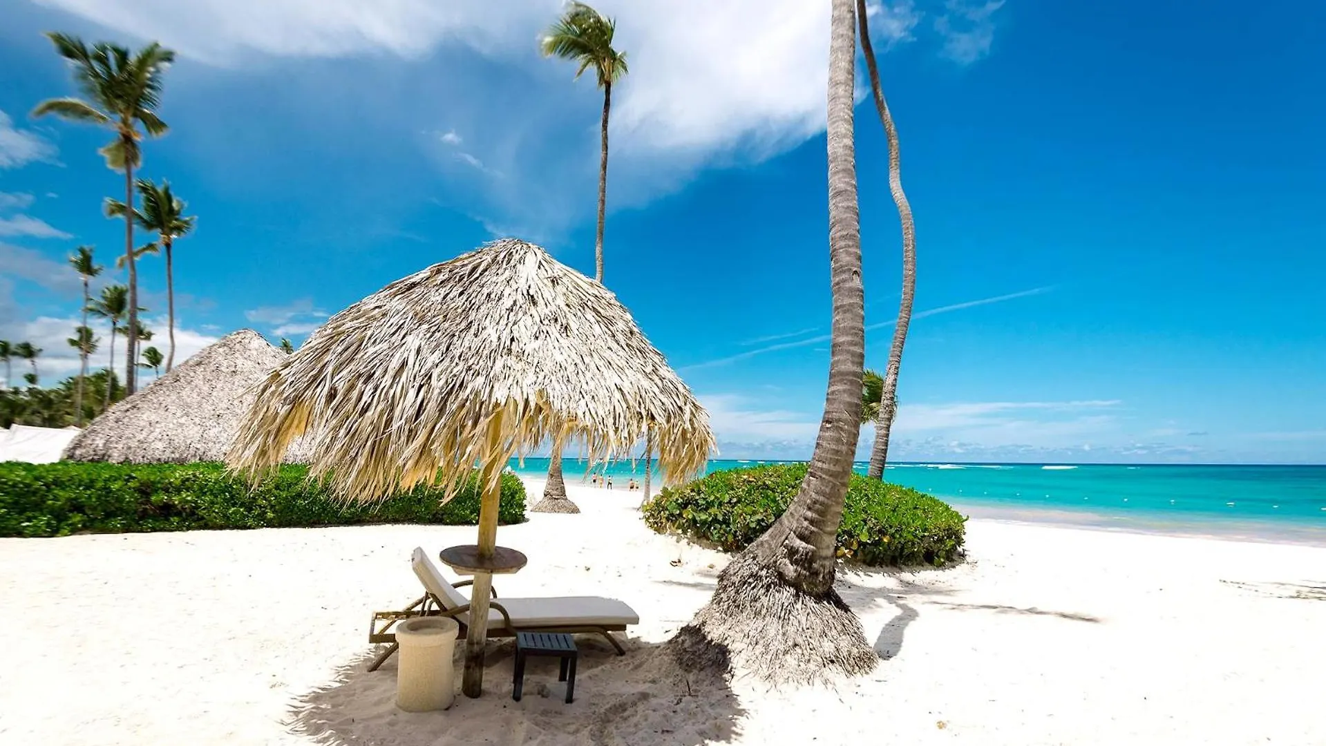 Luxury Private Villas With Pool, Private Beach, Bbq Punta Cana